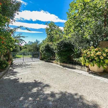Apartments With A Parking Space Gradac, Makarska - 14708 Εξωτερικό φωτογραφία