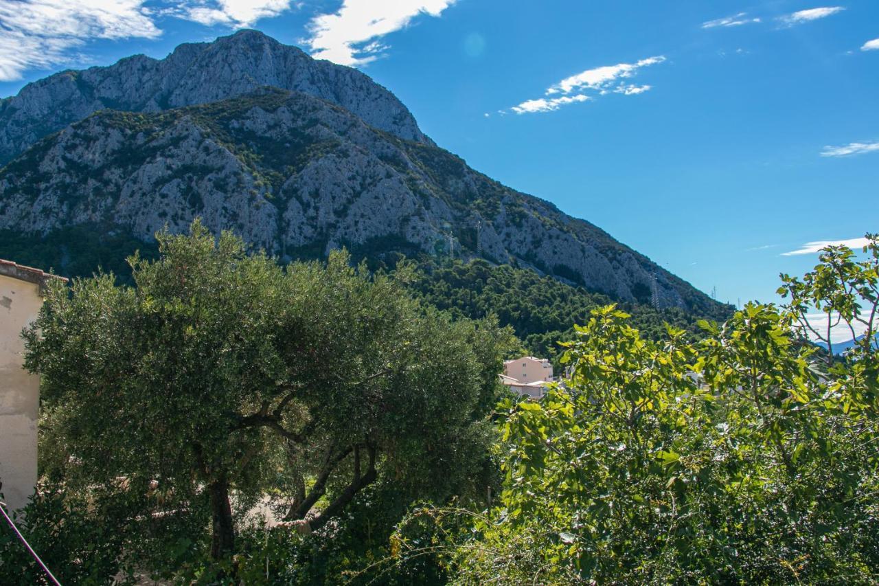 Apartments With A Parking Space Gradac, Makarska - 14708 Εξωτερικό φωτογραφία