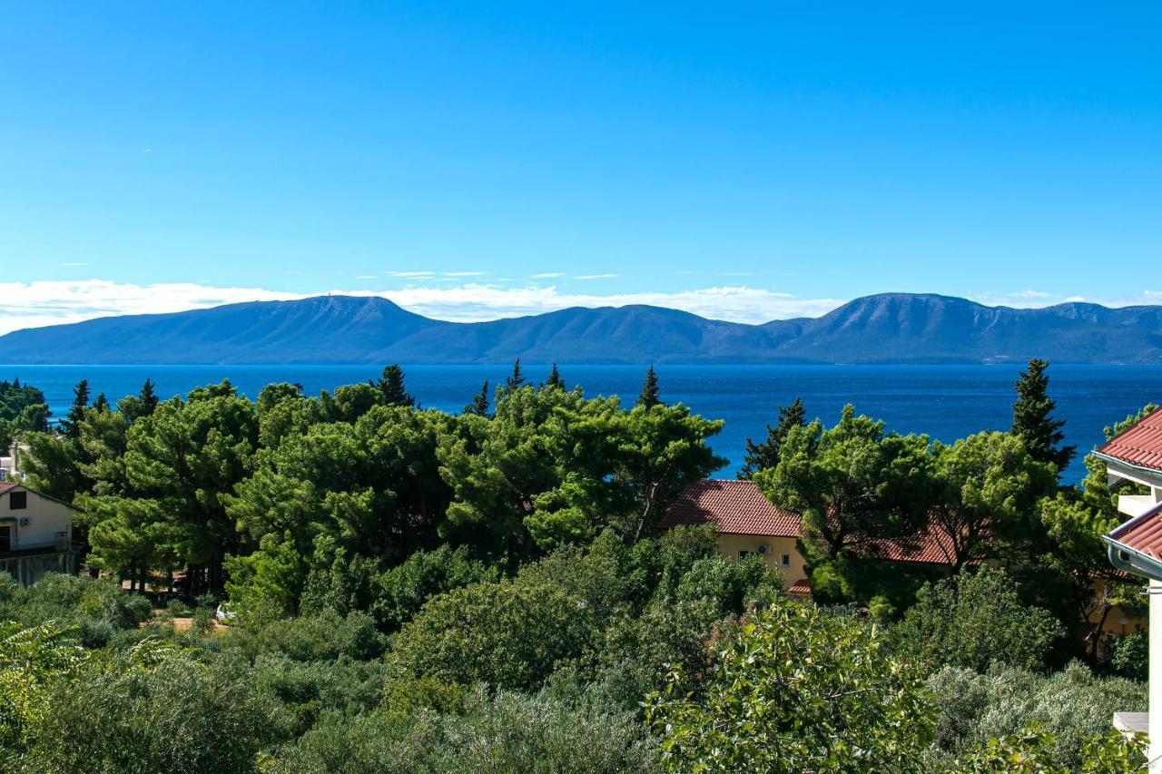 Apartments With A Parking Space Gradac, Makarska - 14708 Εξωτερικό φωτογραφία